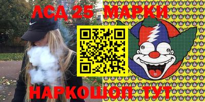 ешки Новодвинск