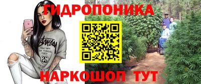 дурь Новозыбков