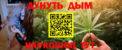 ешки Новодвинск