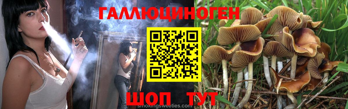 Псилоцибиновые грибы MAGIC MUSHROOMS Алейск